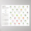 Search for food health nutrition posters Vegetarian