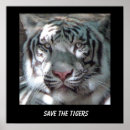 Search for save the tiger posters Tigers