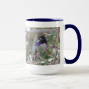 Search for hummingbird picture mugs Photograph