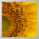 Search for brown flower art Summer