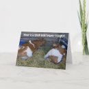 Search for coupe cards Photography