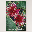 Recherche de texte rouge photographie Family