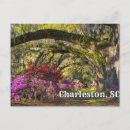 Search for charleston postcards Landscape