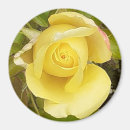 Search for rose designs magnets Botanical