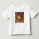Search for clown fish tshirts Coral reef