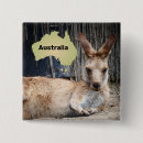 Search for kangaroo buttons Wildlife