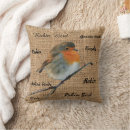 Search for vintage bird pillows Modern