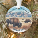 Search for bison ornaments Travel