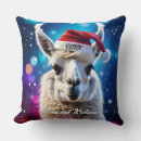 Search for funny llama pillows Modern