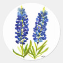 Search for texas bluebonnet stickers Lone star state