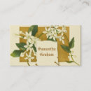 Recherche de jasmin cartes visite Fleurs