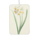 Search for retro car air fresheners Illustration