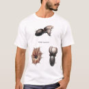 Search for squid tshirts Vintage