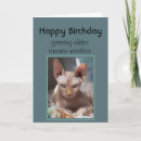 Search for mean birthday cards Funny