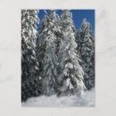 Search for nature scene postcards Winter