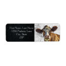 Search for dairy farm return address labels Cow