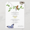 Search for chrysalis Butterfly