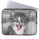 Search for computer humor photography Cat