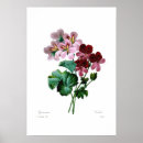 Search for varieties posters Gardening