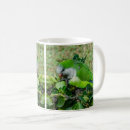 Search for green parakeet mugs Parrot