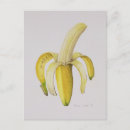 Recherche de pelle cartes postales Jaune