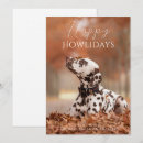 Recherche de dog photo vœux cartes Photos de vacances