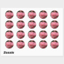 Search for ranunculus stickers Floral