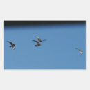 Recherche de oiseaux en vol autocollants Rouge