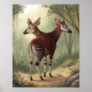 Search for okapi posters Wildlife