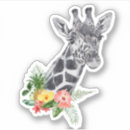 Recherche de girafe de peau Coloré