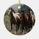 Search for mustang ornaments Equestrian