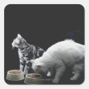 Search for cat food stickers Eating