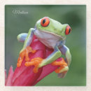 Search for frog coasters Toad