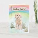 Search for cockapoo cards Dogs