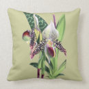 Recherche de paphiopedilum Floral