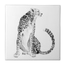 Recherche de guépard carreaux Faune