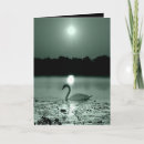 Search for swan cards Moonlight