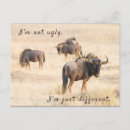 Recherche de kalahari cartes postales Animal