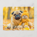 Recherche de pug dog cartes postales Carlin