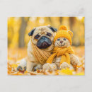 Search for plushie postcards Dog