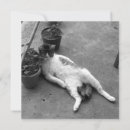Recherche de salon vœux cartes Noir et blanc