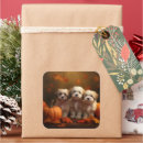 Search for havanese puppies stickers Animal