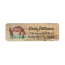 Search for horses return address labels Watercolor