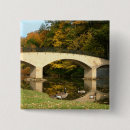 Search for autumn pictures buttons Fall