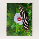 Recherche de zèbre puzzles Animal