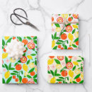 Search for clementine wrapping paper Modern