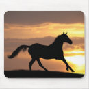 Search for arabs electronics Equestrian