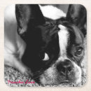 Search for french bulldog coasters Cute dog