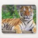 Search for tiger mousepads Wild animals