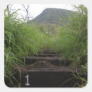 Search for beams stickers Close up